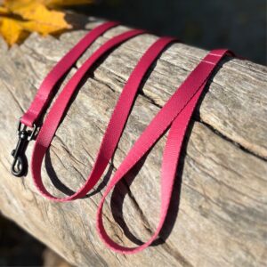 SMYCZ MIEJSKA Raspberry Rose