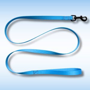 SMYCZ MIEJSKA Cyan