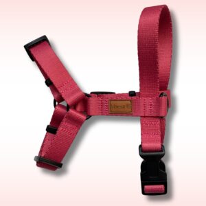 SZELKI GUARD Raspberry Rose