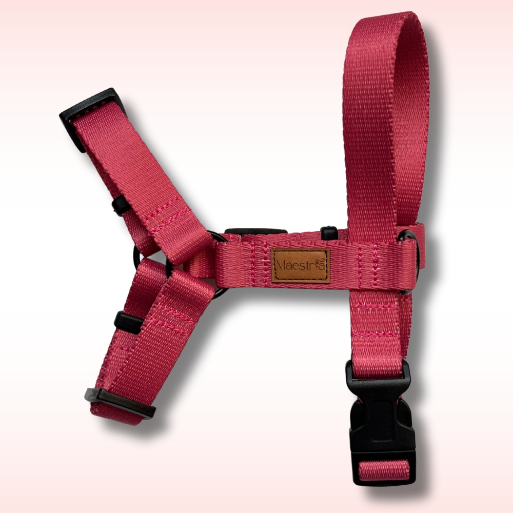 SZELKI GUARD Raspberry Rose