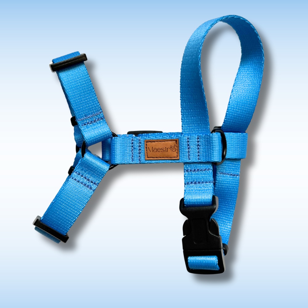 SZELKI GUARD Cyan