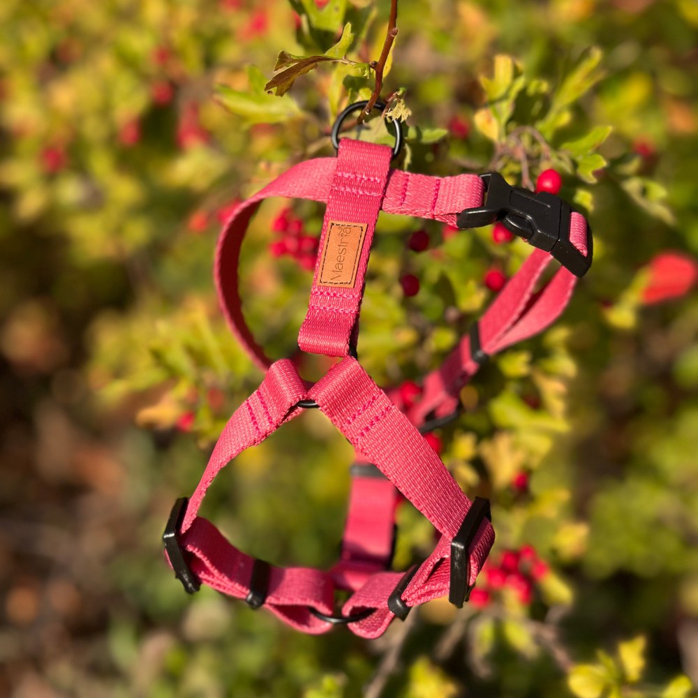 SZELKI GUARD Raspberry Rose - obrazek 2