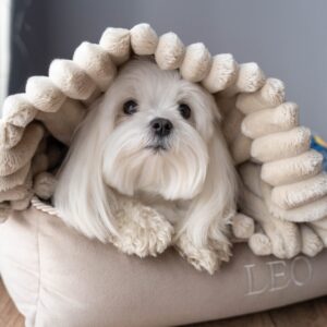 Śpiworek/norka/kocyk 3w1 ciemnobeżowy