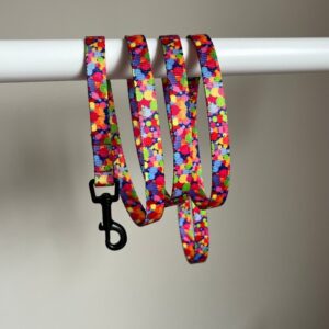 SMYCZ MIEJSKA Colorful