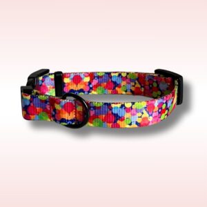 Obroża Colorful